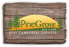 Pine Grove Day Camp logo